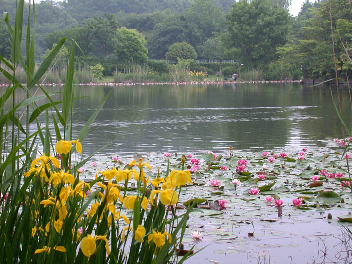 ike090515.JPG 716��537 107K