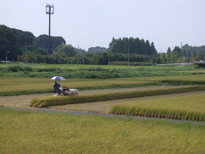 inekari100828-1.JPG 716��537 48K