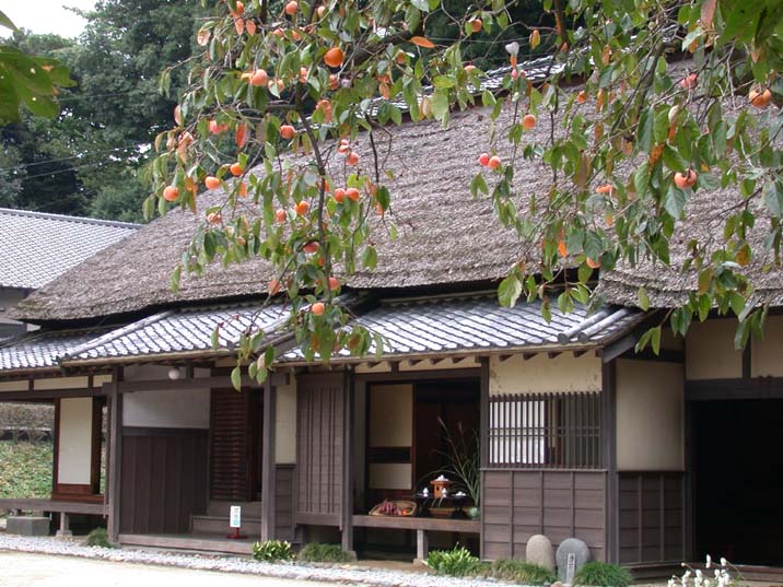 jyusanyakazari101022-2.JPG 716��537 102K