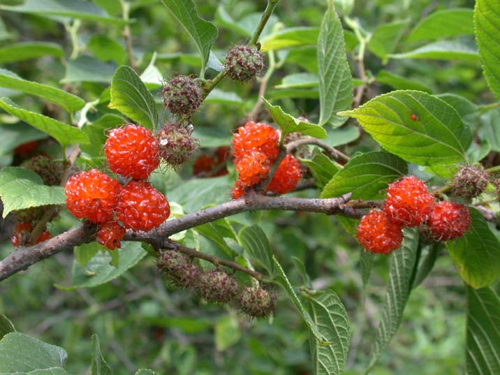 kouzo100622.JPG 716��537 67K