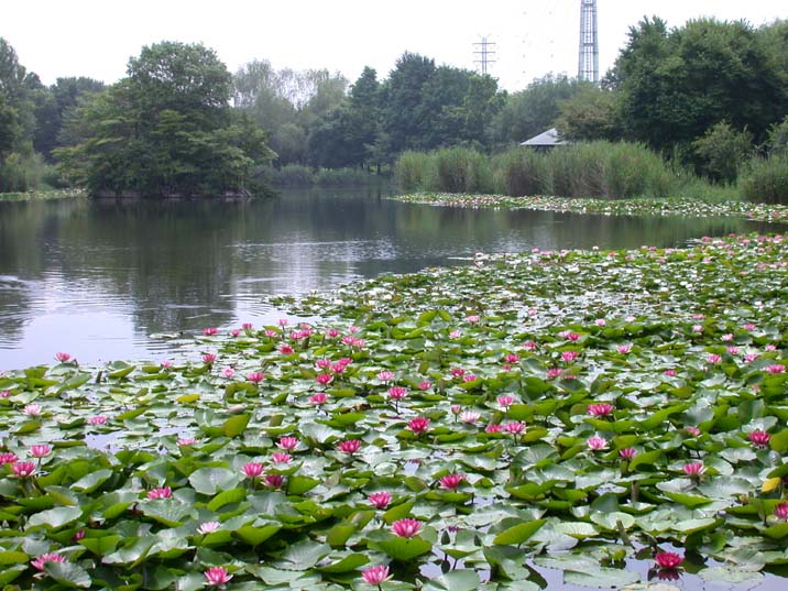 minumaike100714-1.JPG 716��537 103K