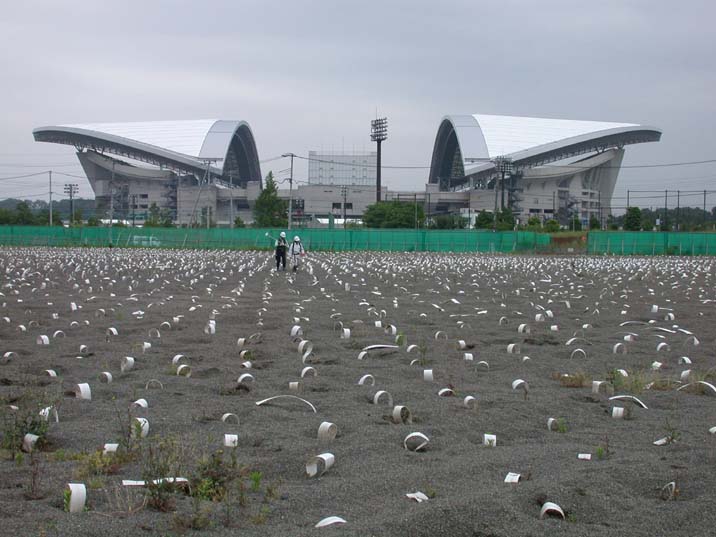 nandarou100605.JPG 716��537 65K