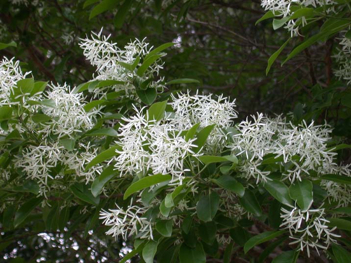 nanjymonjya100510.JPG 716��537 85K