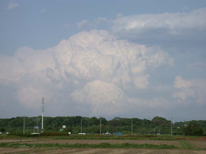 nyuudougumo100512.JPG 716��537 27K