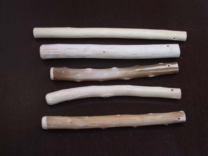 surikogi101003.JPG 716��537 29K