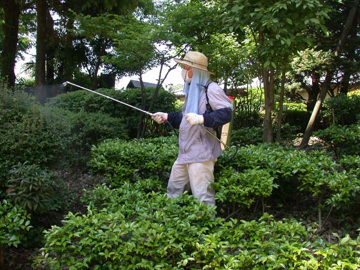 syoudoku100602.JPG 716��537 121K