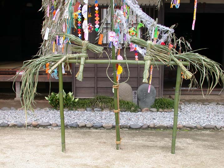 tanabataumakazari100707.JPG 716��537 97K