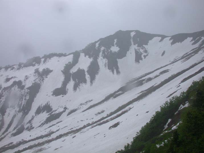 tateyama100628-1.JPG 716��537 36K