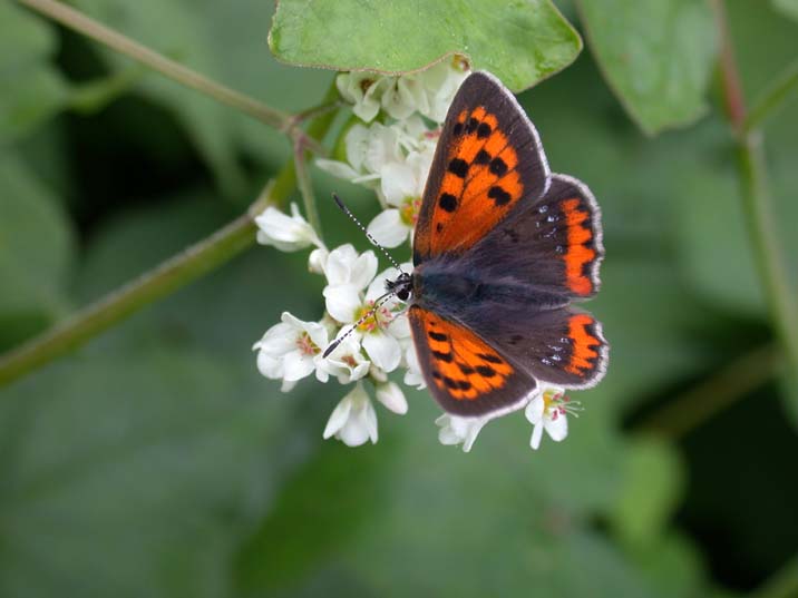 tyu101022-1.JPG 716��537 33K