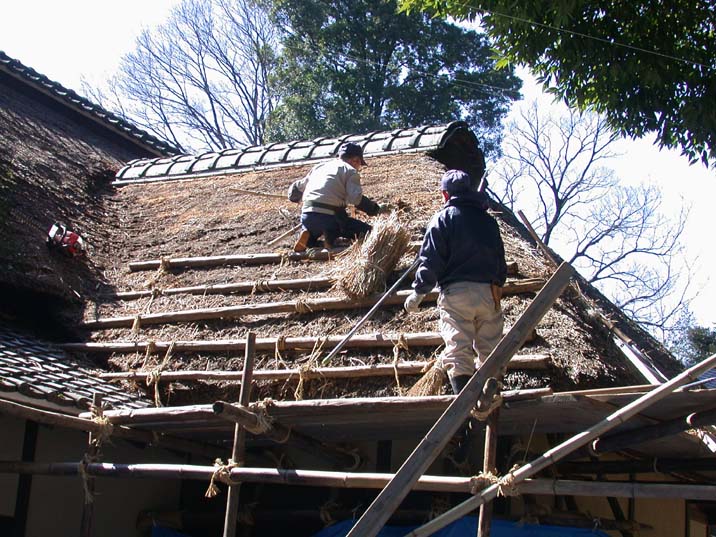 sasigaya110302-1.JPG 716537 121K