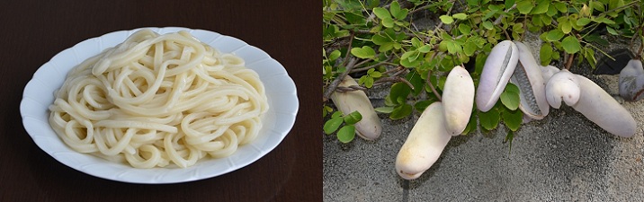 udon-akebi121029-22.jpg 716225 118K