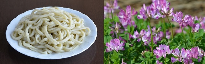 udon-rengesou130407-33.jpg 716225 118K