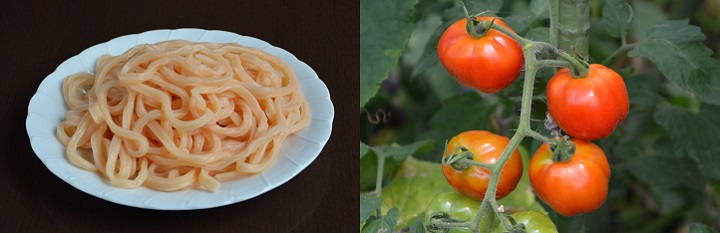 udon-tomato130726-88.jpg 720233 100K