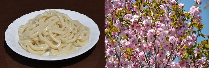 udon-sakura140410-67.jpg 720234 139K